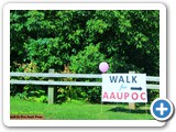 Walk for AAUPOC - 2016